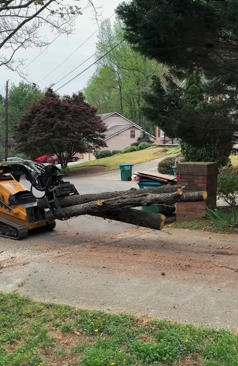 Tree Removal service in Perth Amboy, NJ